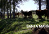 productores misioneros