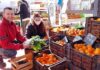 mercado concentrador