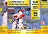 Torneo Interprovincial de Taekwondo
