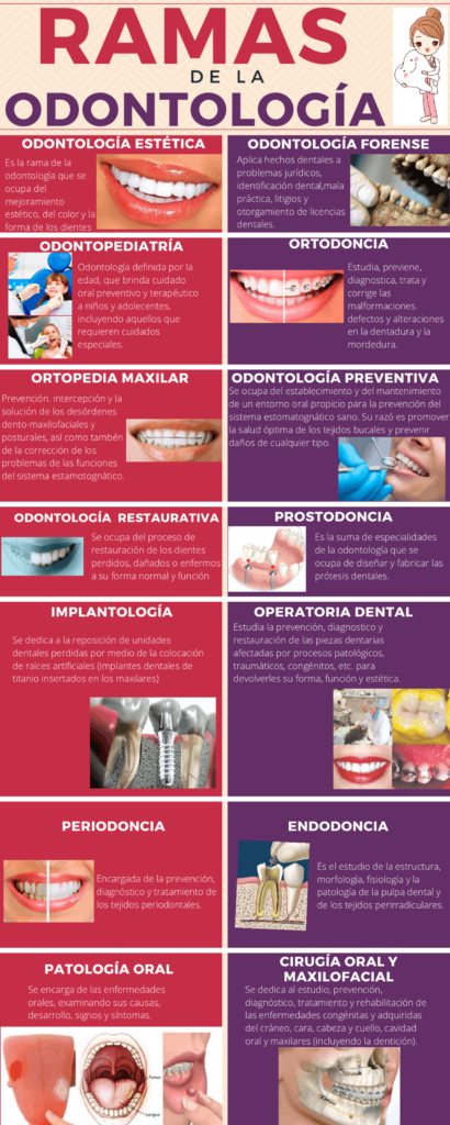 Día de la odontología