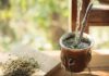 Experiencia Yerba Mate Misiones Maravilla EVT