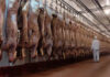 exportaciones de carne