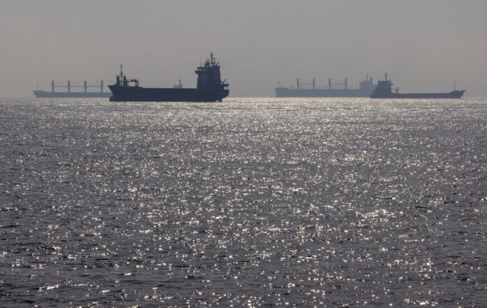 exportaciones de granos en el Mar Negro