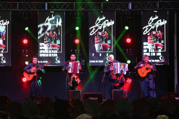 Fiesta Provincial del Reviro (6)