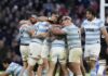 los pumas
