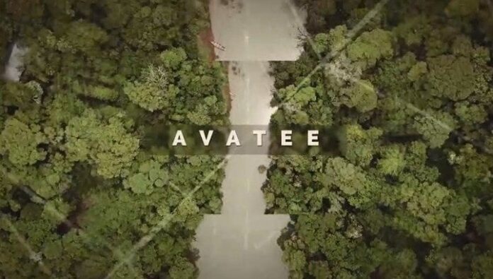 Avateé