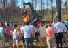 forestal