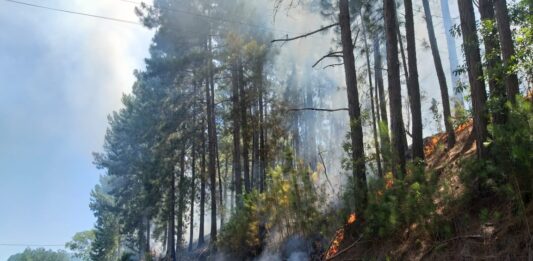 incendios en Campo Viera y General Alvear