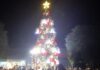 Árbol de Navidad de Capioví