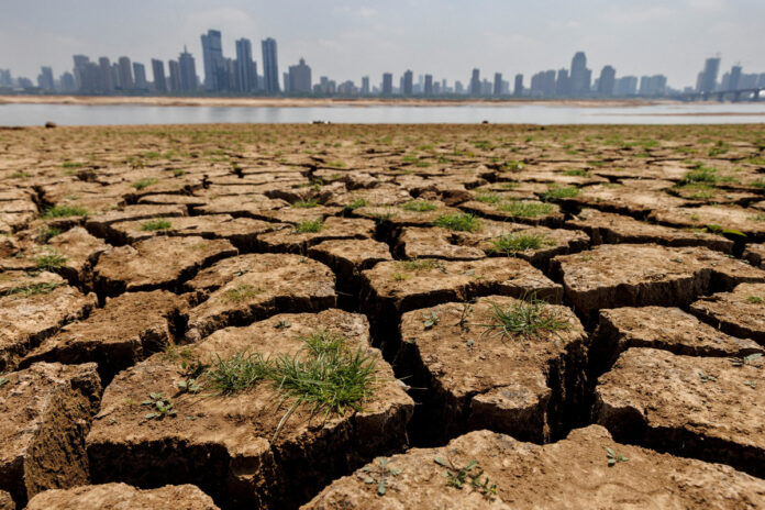 compensacion climatica