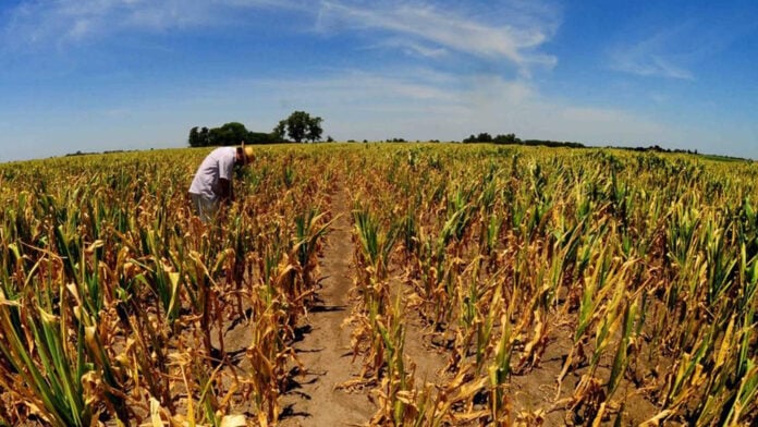 sequía histórica en Argentina