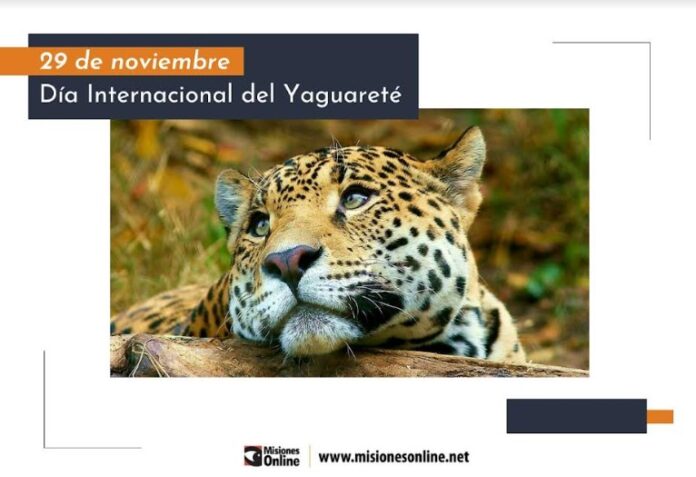 Día Internacional del Yaguareté