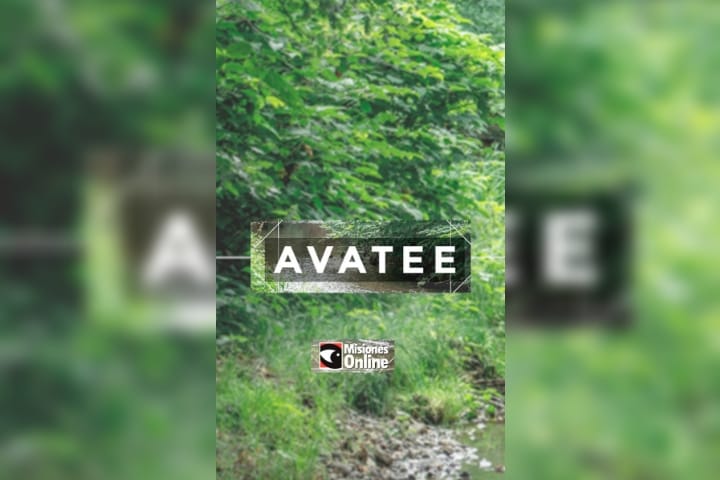 “Avateé”: reviví el programa especial por el Día del Mate y los 20 años