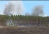 Incendio forestal en Corrientes