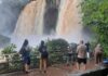 ingresos en el Parque Nacional