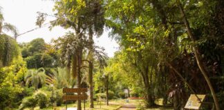 jardín botánico alberto roth
