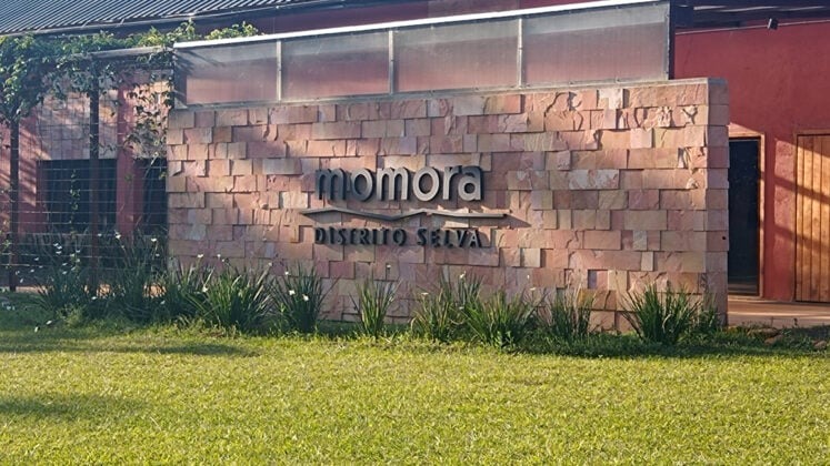 Momora Distrito Selva