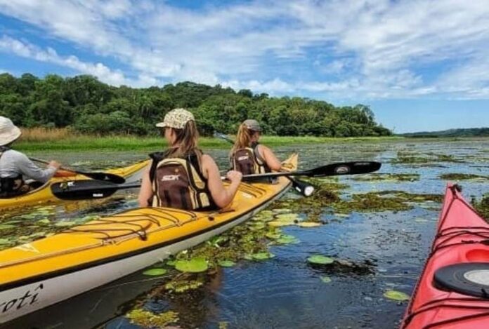 Kayak