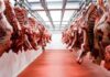 México abre su mercado a la carne