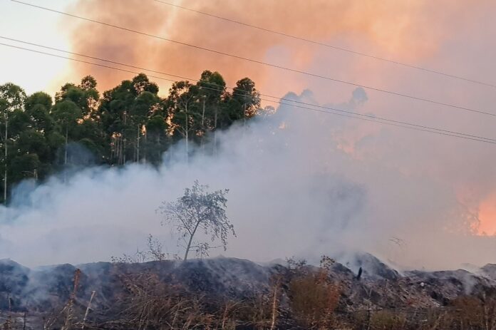 incendios en Corrientes