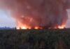 incendios forestales