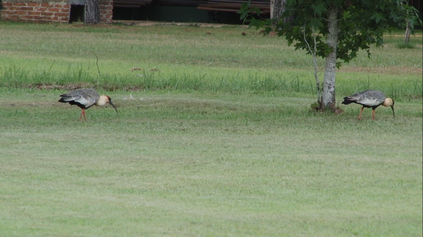 La Agustina Ecolodge