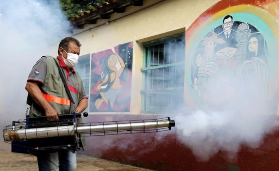 Paraguay acumula 22 muertes por chikunguña