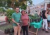 Ecoferia