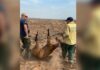 incendios en los Esteros del Iberá