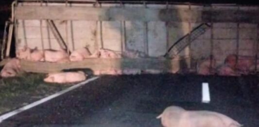volcó un camión en Santa Fe