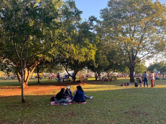 #Elfinde: mirá la agenda y todo lo que podés hacer este fin de semana en Misiones