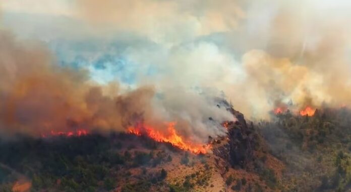 incendios forestales
