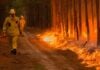 Incendios forestales en Corrientes