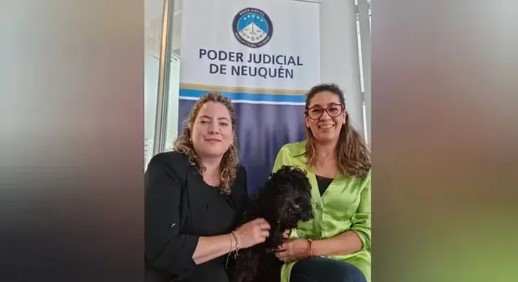 La historia de “Oreo”, el perro que juró como nuevo trabajador del Poder Judicial