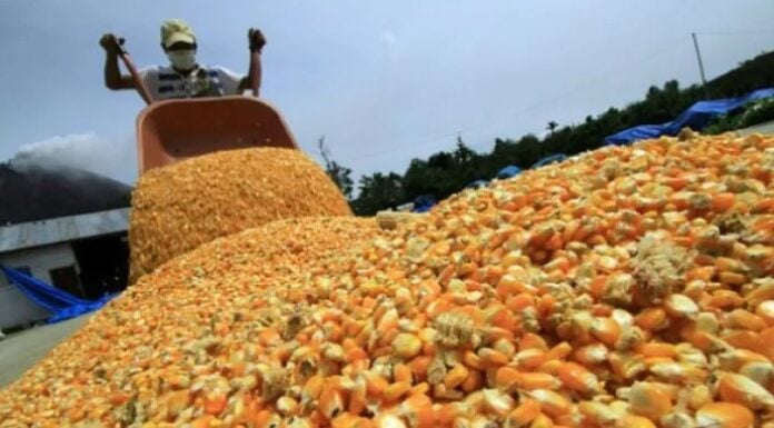 sector agroexportador encuesta CREA
