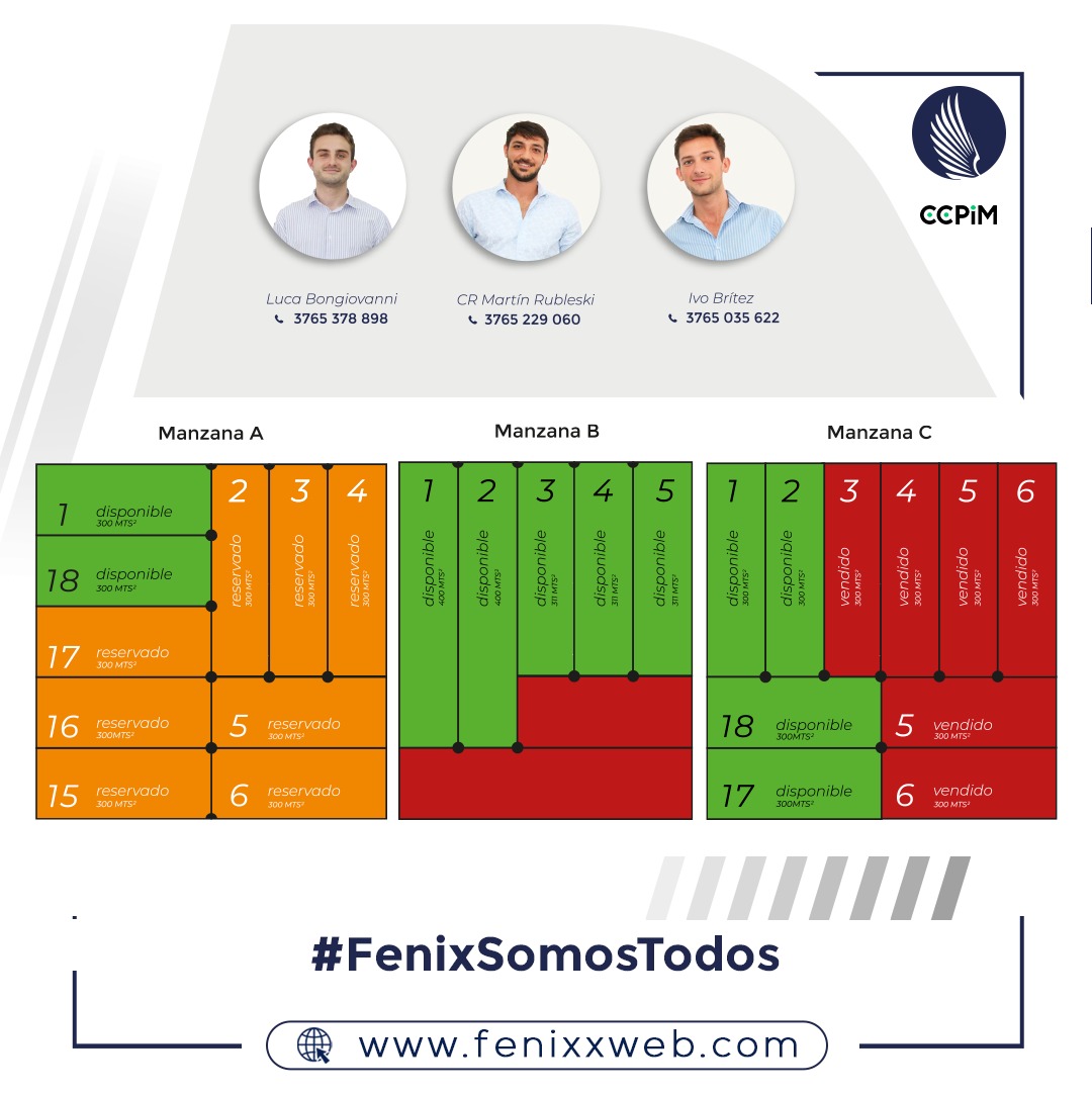 Fenix Inmobiliaria 