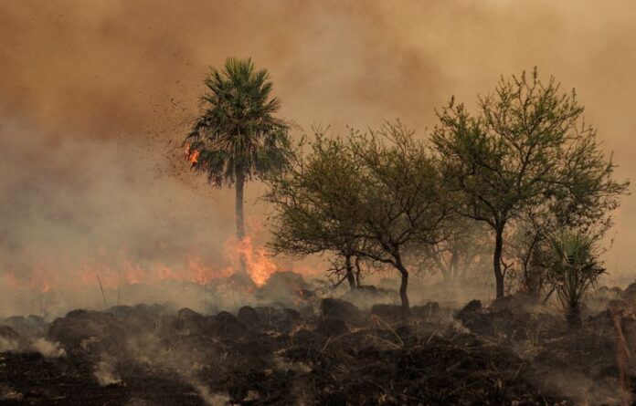Imagen de archivo de un incendio forestal que se extendió hasta cubrir más de 500.000 hectáreas en Corrientes incendios en corrientes