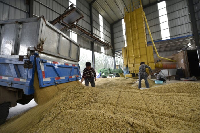 China busca dejar de depender de la importación de soja.