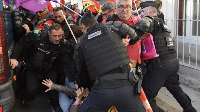 Francia Francia