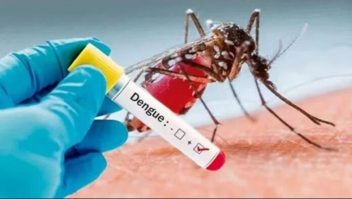 dengue en Argentina