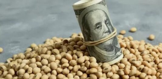 dólar agro