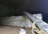 exportación de yerba mate en 2025