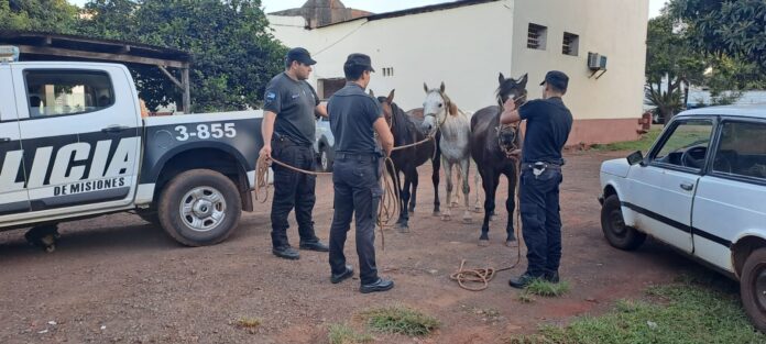 Robó tres caballos en Guaraní