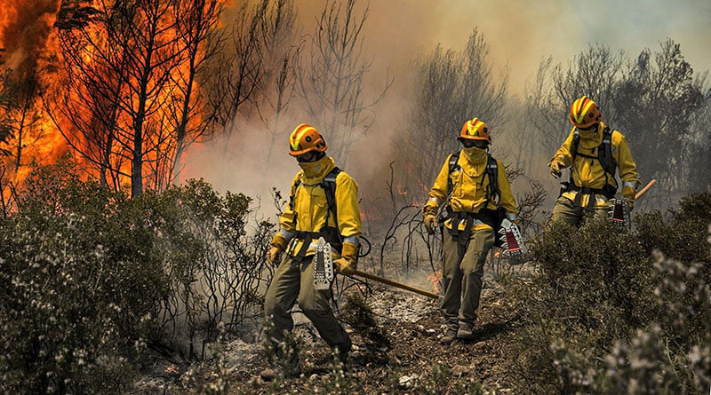 Día Internacional Del Combatiente De Incendios Forestales El Trabajo De Los Brigadistas Misioneros