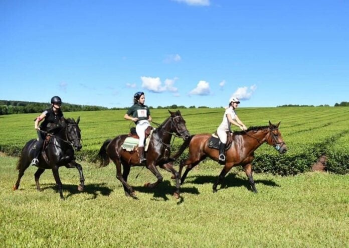 Endurance Ecuestre en Eldorado