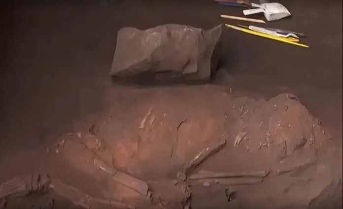 Encontraron un fósil humano