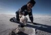 Argentina se ubica en 4to lugar en litio a nivel mundial