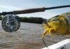 concurso internacional de pesca