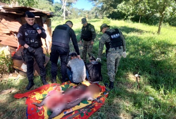 faenaban a un carpincho en Candelaria