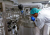 Upside Foods y Good Mea son las empresas autorizadas a vender carne cultivada